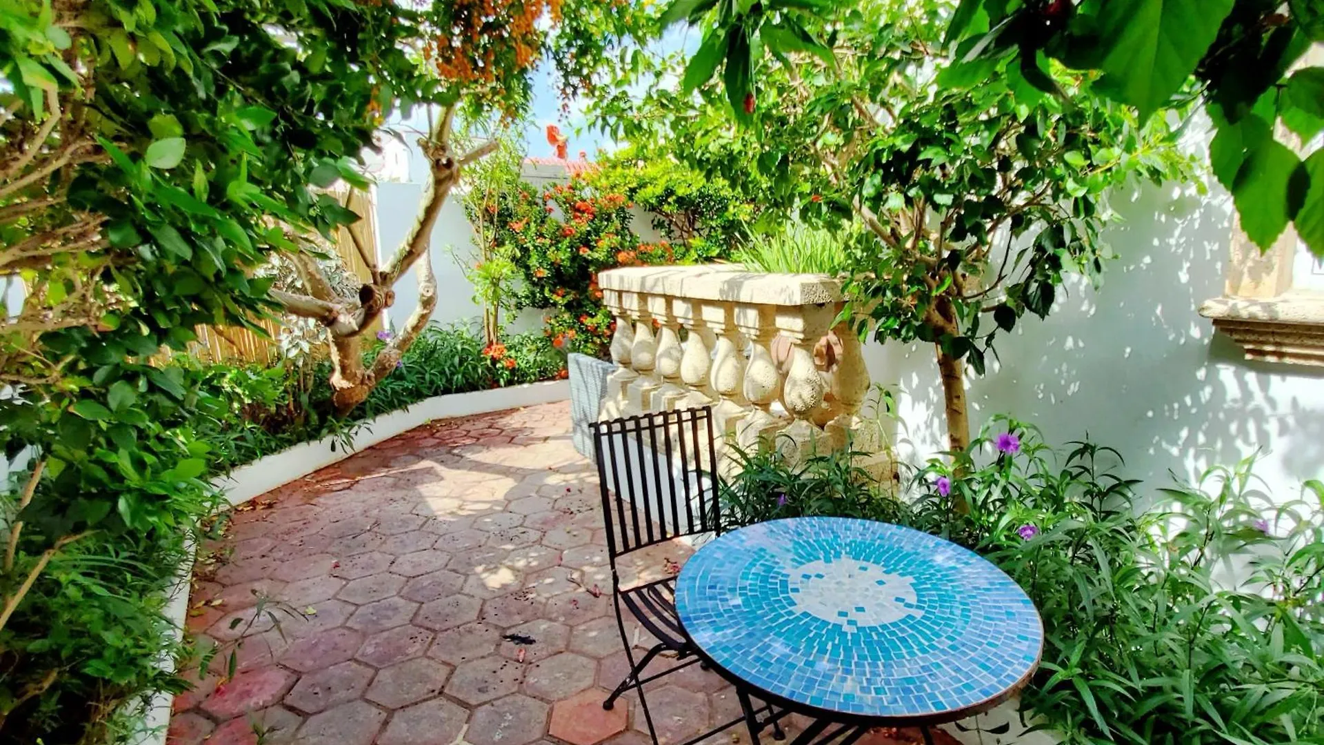 Casa Tortuga Ocean Park Villa San Juan